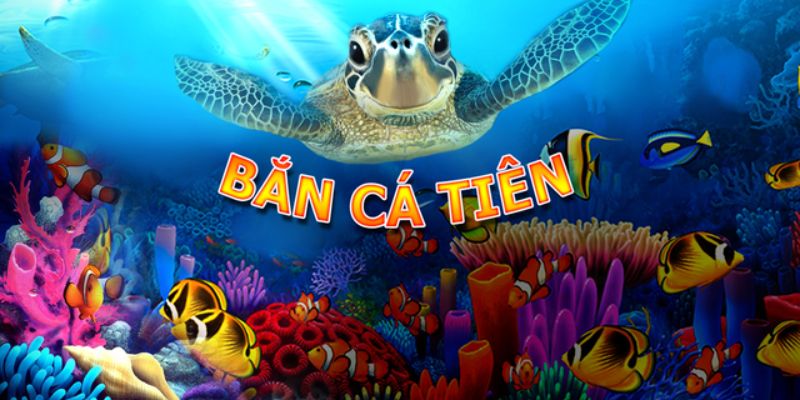Nhiều lựa chọn hấp dẫn để chơi săn cá trở nên ấn tượng