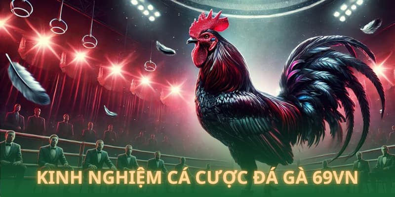 Kinh nghiệm cá cược đá gà trực tuyến tại 69VN